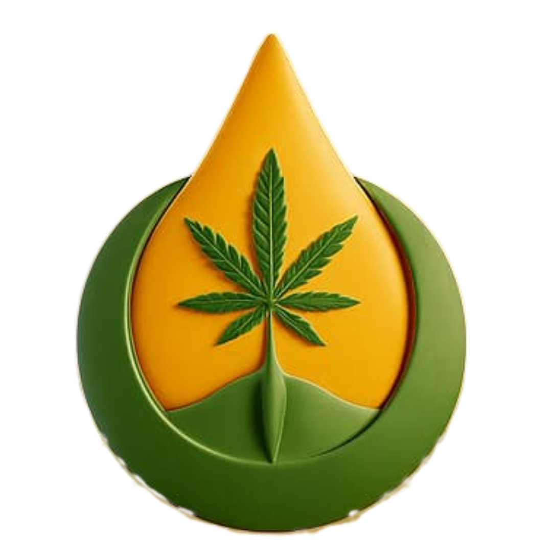 Logo de Fundación Terra Santa Argentina